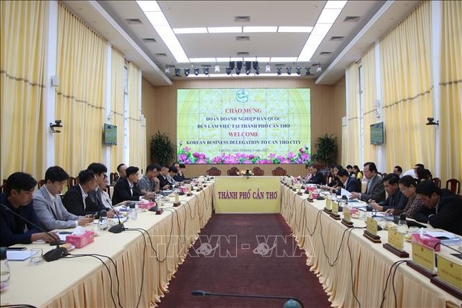 Korean enterprises seek investment opportunities in Can Tho